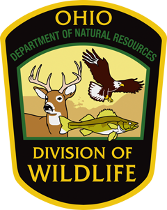 Division of Wildlife